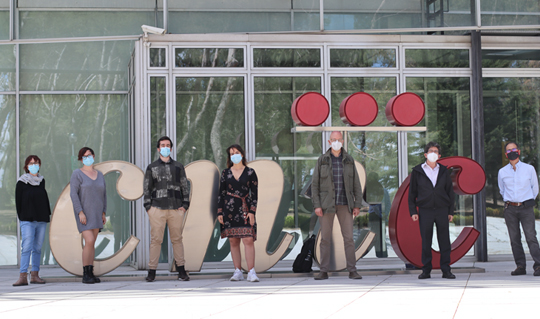 Scientists at the CNIC and the Centro de Biología Molecular Severo Ochoa 