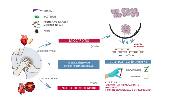 The first blood biomarker to distinguish between myocarditis and acute myocardial infarction