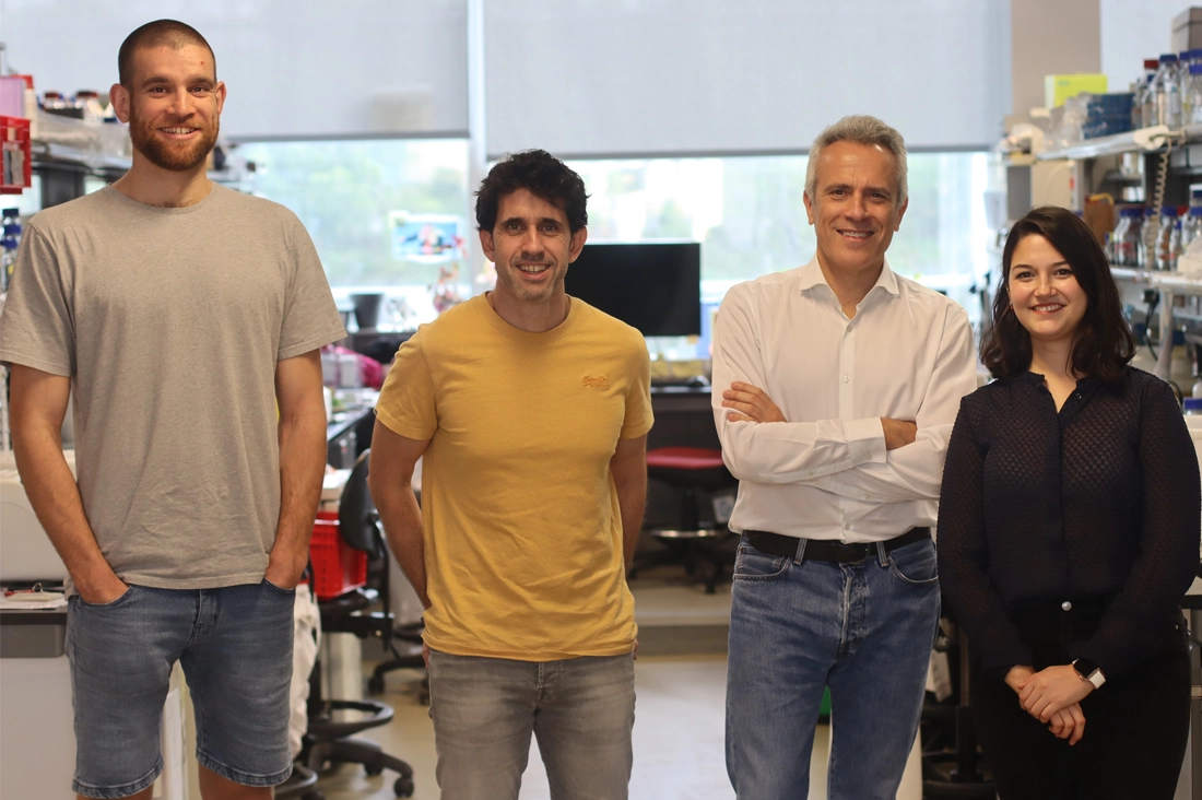 Molecular mechanisms discovered that govern critical genes for cardiac valve formation