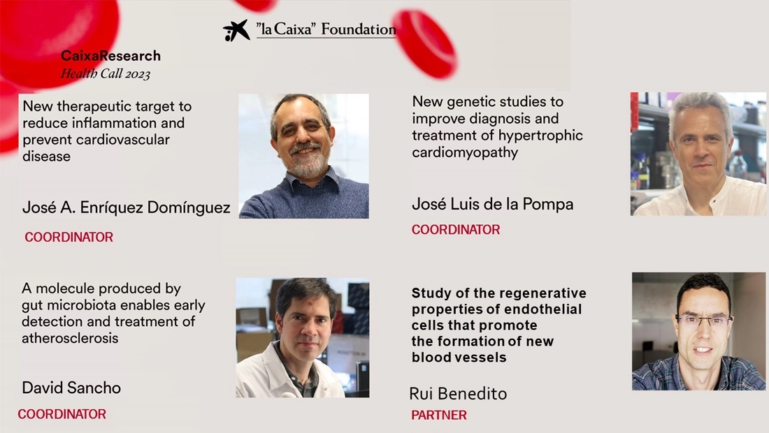 CNIC Projects CALL selected in the “la Caixa” Foundation Health Research Projects cALL, 2023
