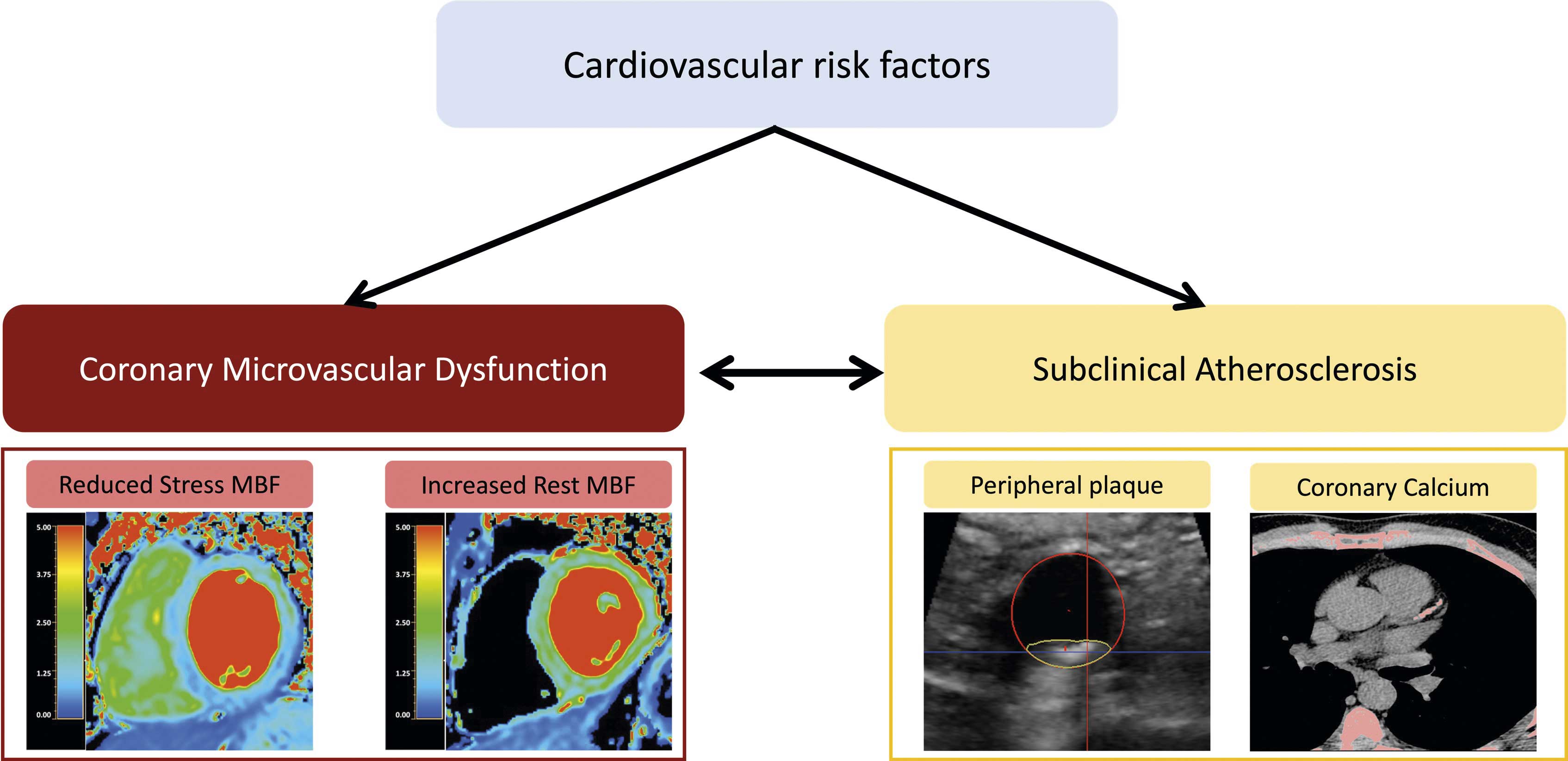 Nature Communications CNIC scientists discover a key mechanism in fat cells that protects the body against energetic excess