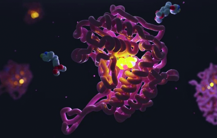 CNIC study named Nature PJ imaging article of the year for 2024