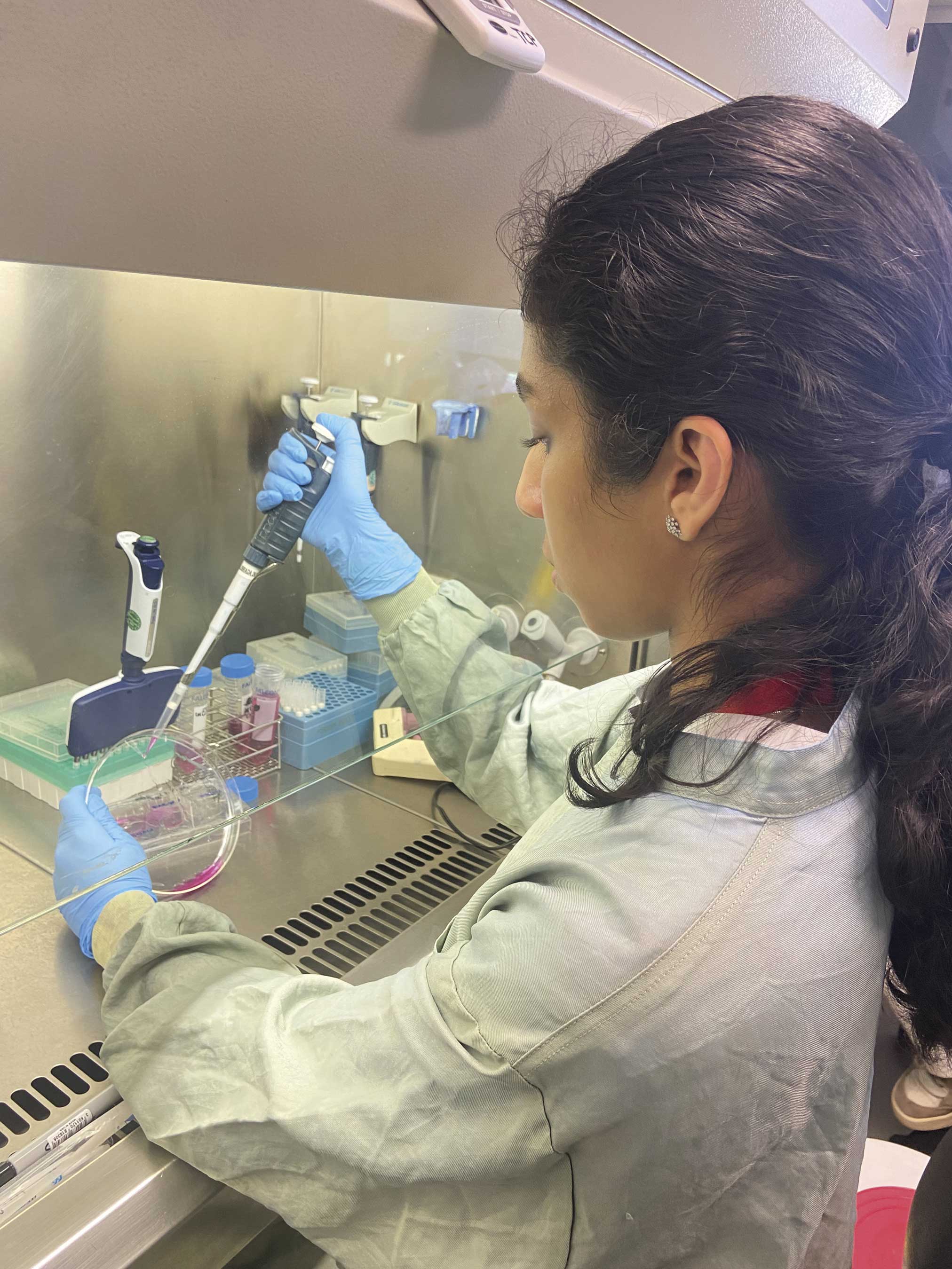 EU Contest for Young Scientists