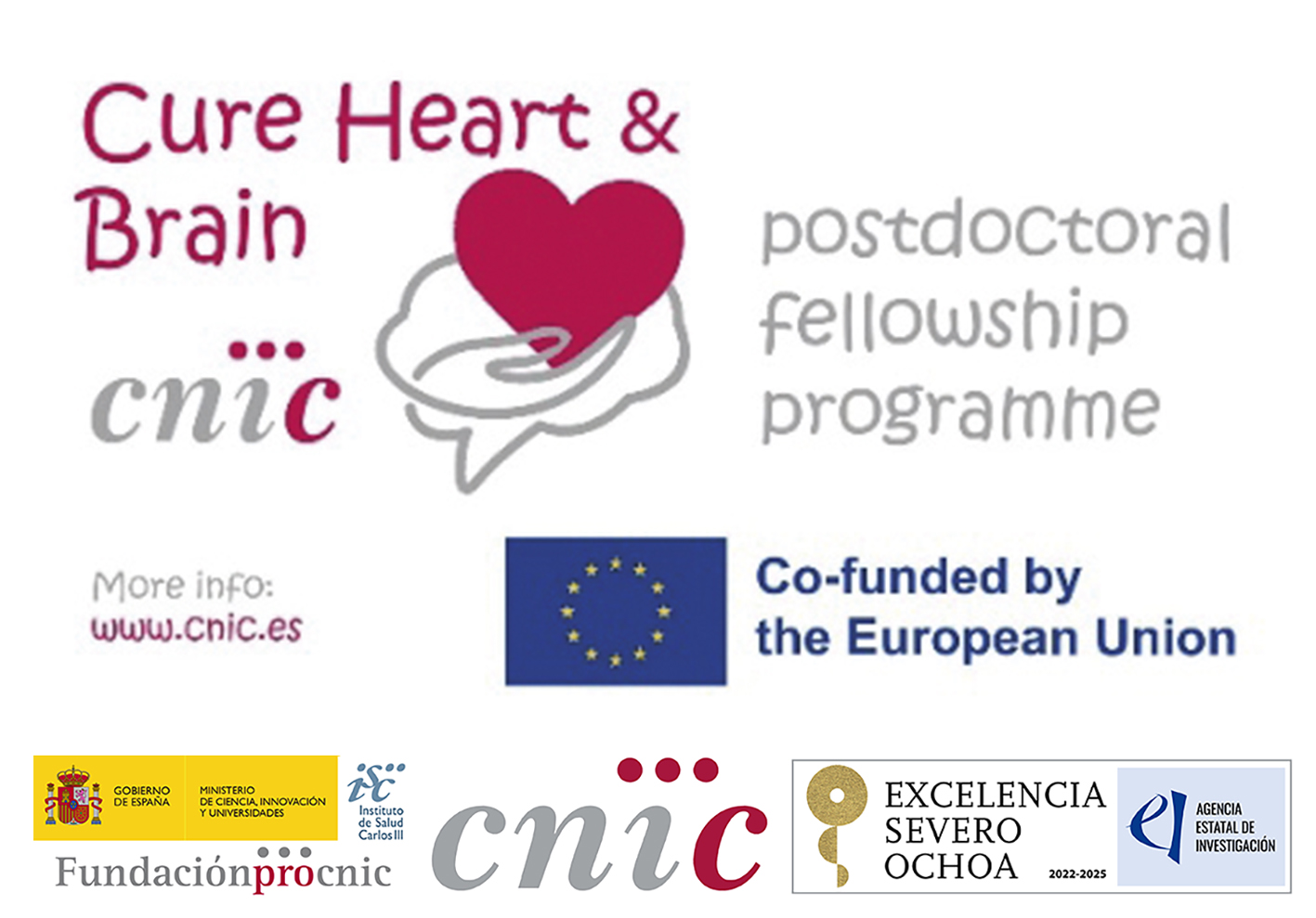 PROGRAMS FOR RESIDENT MEDICAL INTERNS