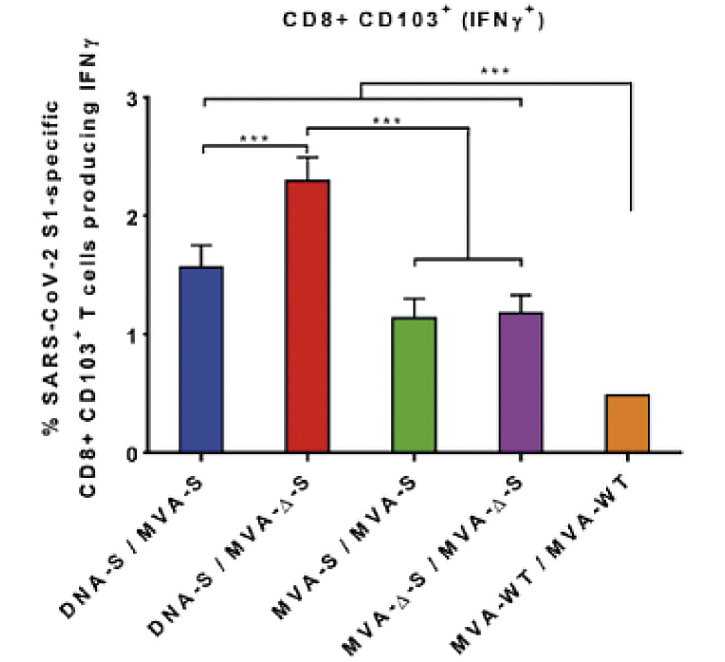 Virus S protein