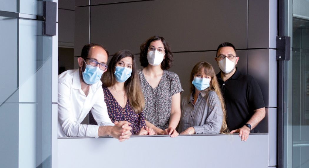 Equipo de investigación