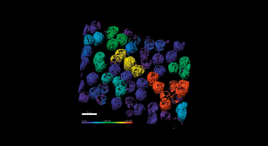 TRIMA: TRIMA: the most 
comprehensive Spanish nanoscopy platform