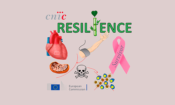 Resilience, a project to reduce the prevalence of heart failure
