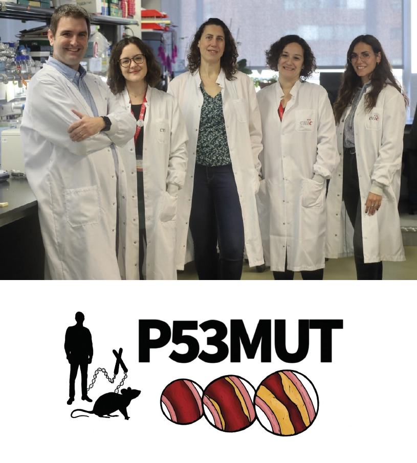 The ‘guardian of the genome’ protects against cardiovascular disease