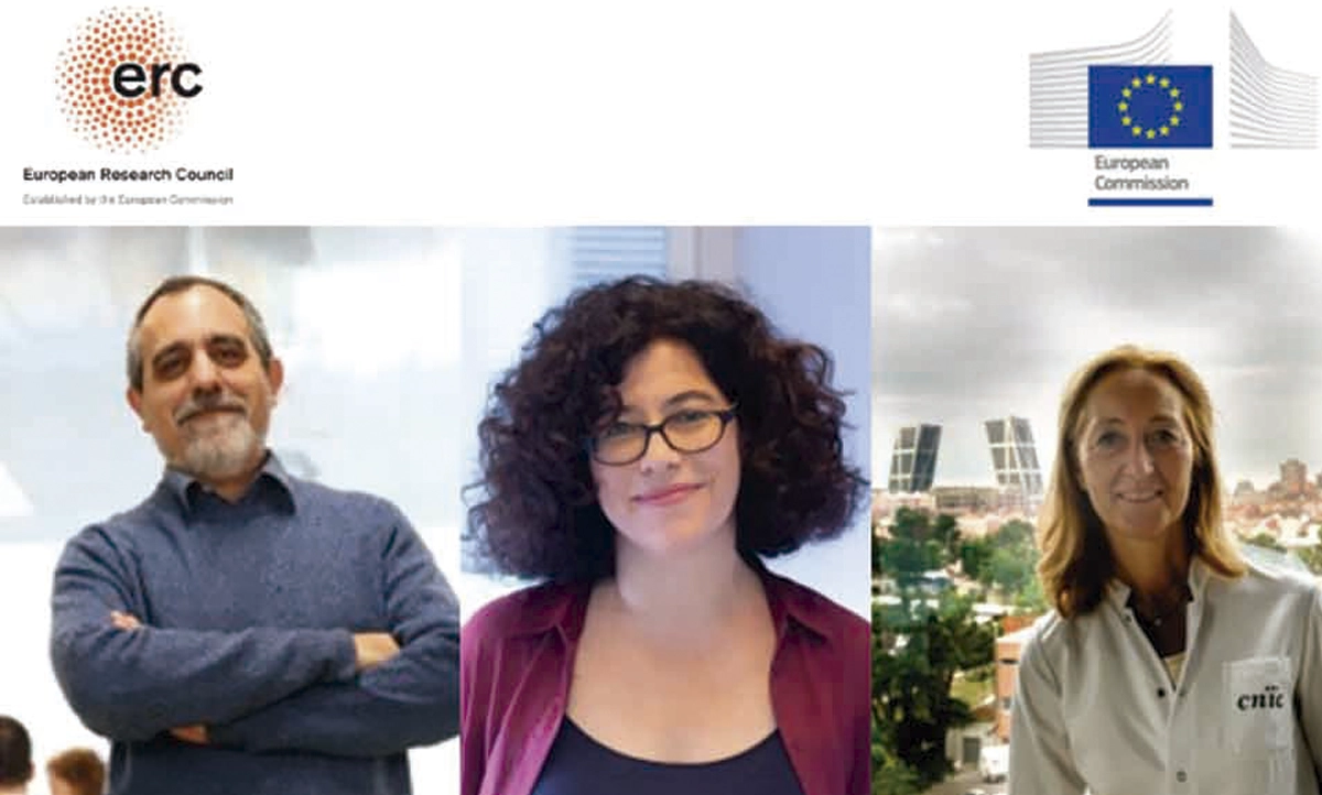 Three CNIC projects receive more than €5 million in ERC Advanced Grant funding