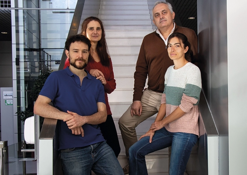 Identifican un proceso esencial en la respuesta mecánica celular que implica “nanopliegues” y “pegamento”
en su superficie