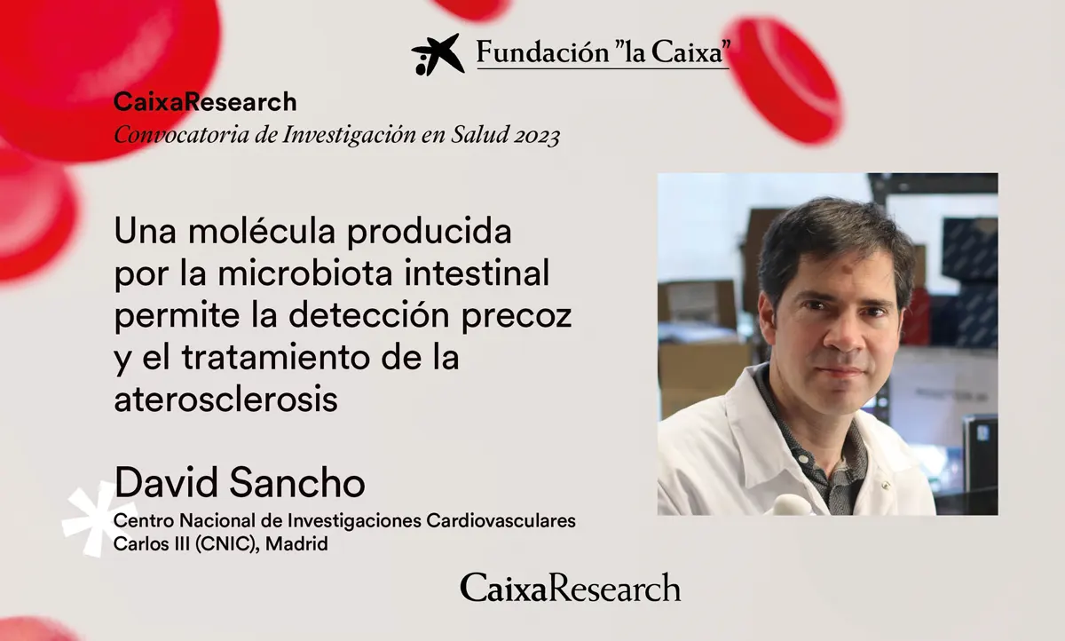 Tres Proyectos del CNIC seleccionados en la convocatoria “Proyectos de Investigación en Salud 2023” de la Fundación “la Caixa”