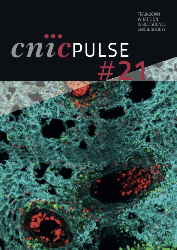 Curso CNIC & SEC “Fisiopatología Cardiovascular: del síntoma a los genes”