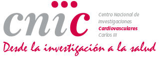 www.cnic.es