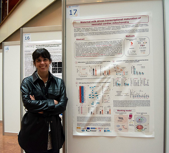 Very happy to share that our PhD student Ana Paredes has been awarded with the FEBS Open Bio Poster Prize in “IUBMB Focused Meeting / FEBS Workshop Crosstalk between Nucleus and Mitochondria in Human Disease” that took place during 22nd-25th March 2022 in Sevilla (Spain). #NuclearReceptorsRule!