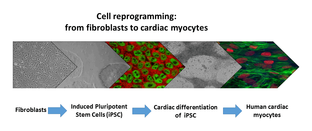 Figure1