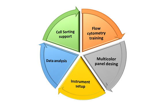Flow Cytometry