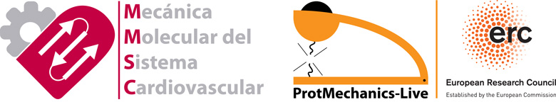 Mecánica Molecular del Sistema Cardiovascular