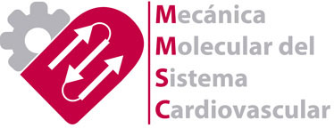 Mecánica Molecular del Sistema Cardiovascular