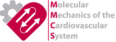 Molecular Mechanics of the Cardiovascular System