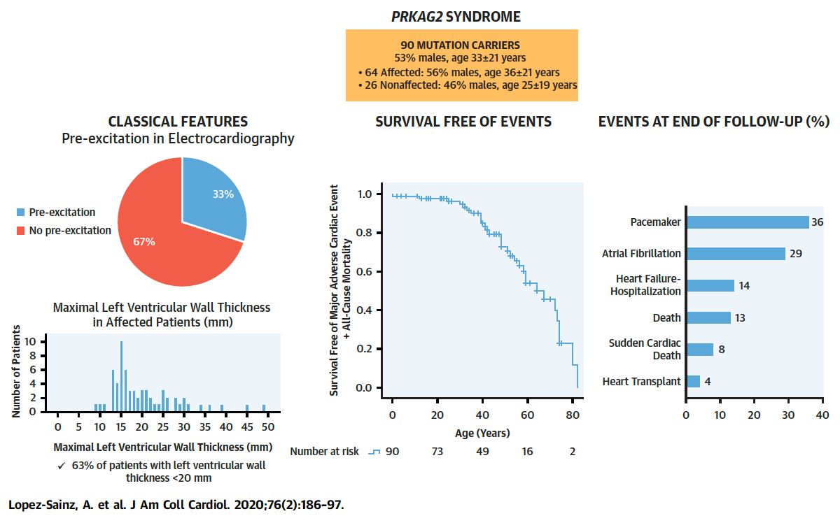 Manifestations, Survival Curve Free of Major Adverse Cardiac Events and Death, and Outcomes in 90 Subjects With Variants in the PRKAG2 Gene