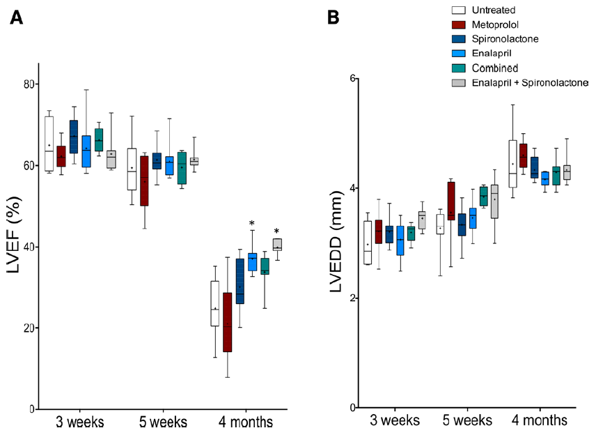 Enalapril improves cardiac function in arrhythmogenic right ventricular cardiomyopathy type 5 (ARVC5) mice. ARVC5 mice were treated with different heart failure (HF) drugs starting at 3 wk