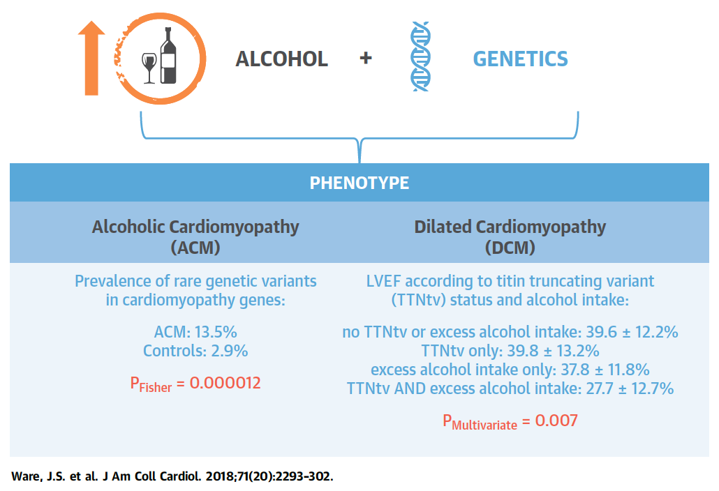 Alcohol Consumption and Genetic Background Act in Concert to Determine Cardiac Phenotype