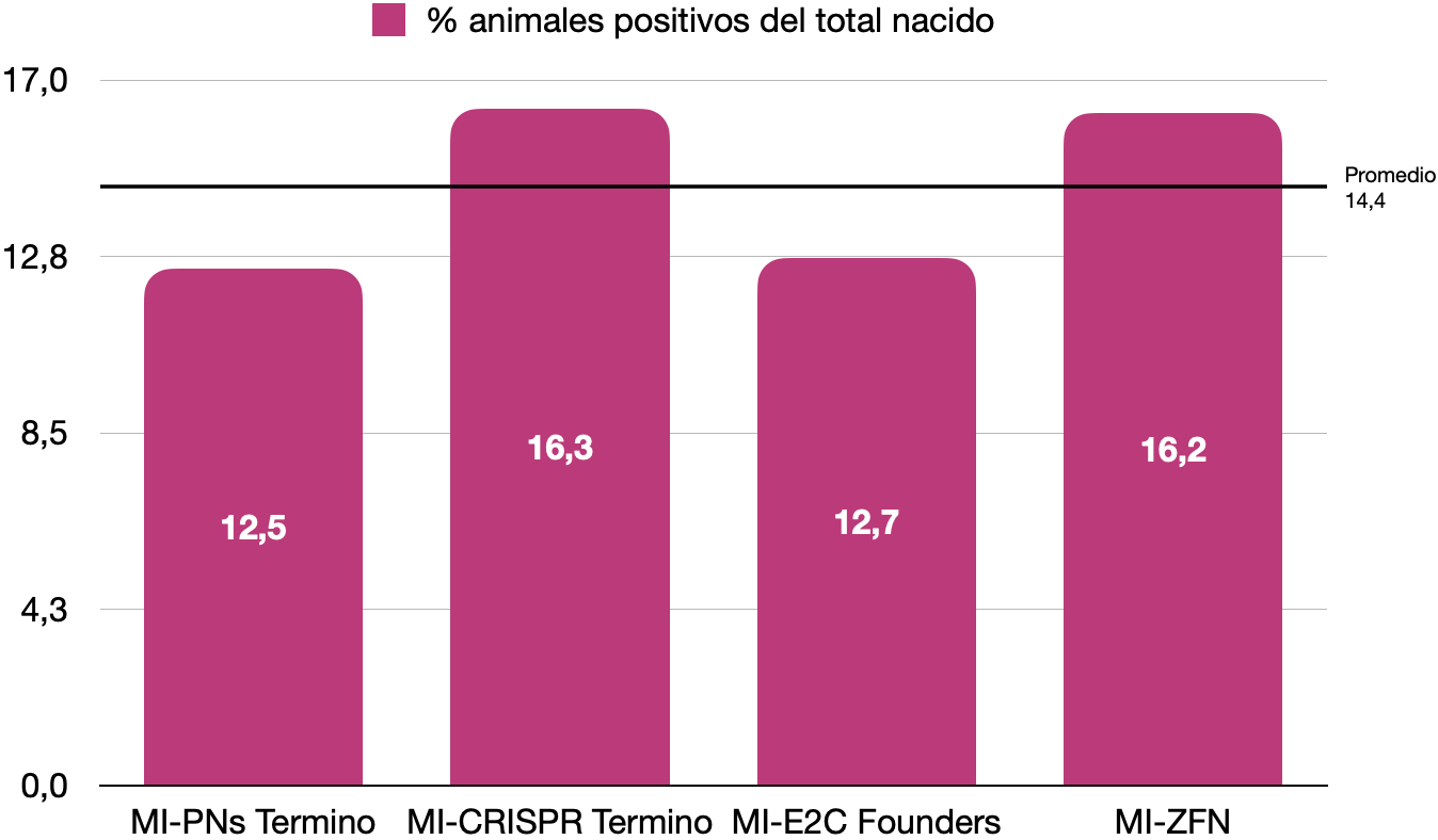 Porcentaje de crías positivas del total nacido en microinyecciones sobre cigoto