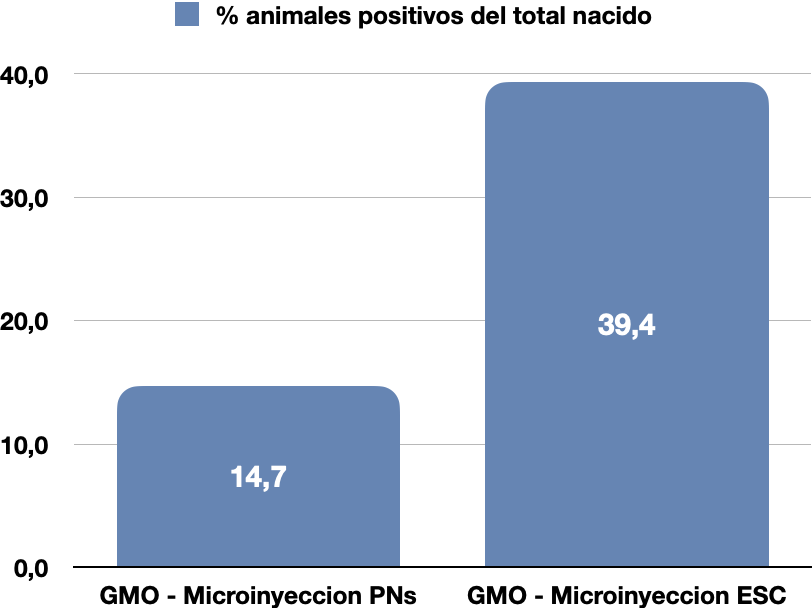 Comparación de eficiencias entre sistemas de microinyeccion en cigotos y OMGs Blastocisto/E8C