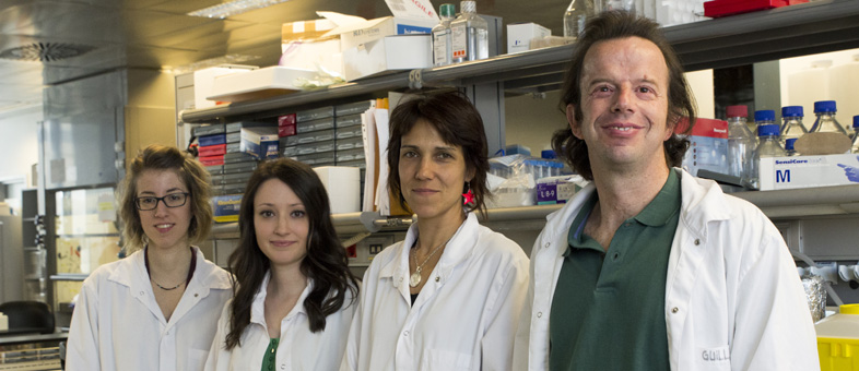 Equipo de investigadores del CNIC: Tania Aguado, Carlota Sánchez-Ferrer, Esther Aix y Ignacio Flores.