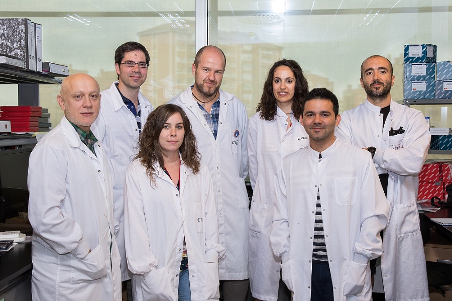 The CNIC research team. From left to right: Andrés Hidalgo, David Sancho, Sarai Martínez-Cano, Salvador Iborra, Elena Priego, Michel Enamorado, and Juan Antonio Quintana.