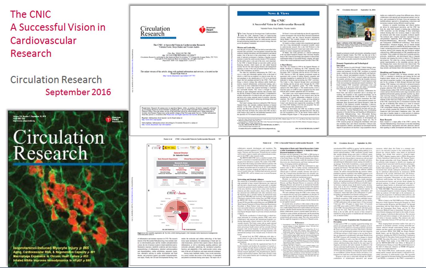 Circulation Research: The CNIC A Successful Vision in Cardiovascular Research