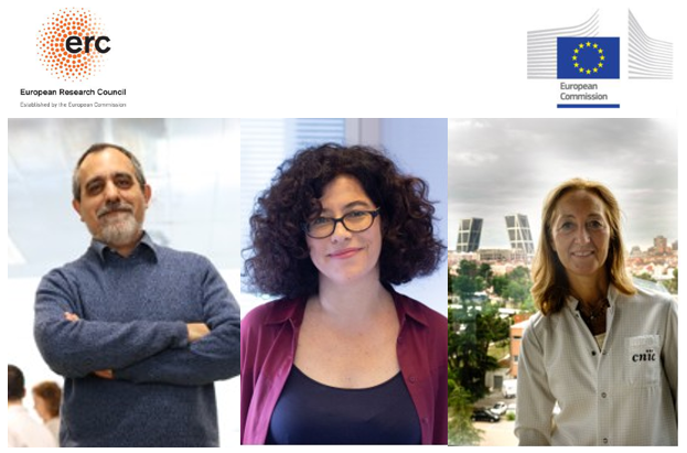 José Antonio Enríquez, Almudena Ramiro  y Silvia Priori.