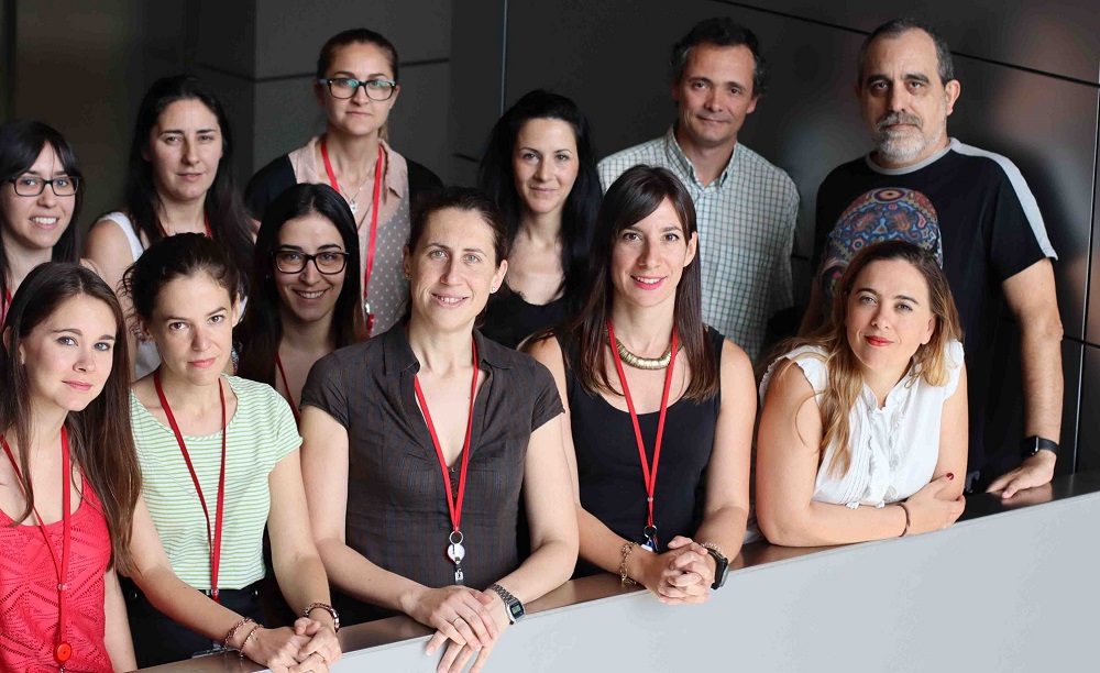 De izquierda a derecha, en primera fila: Marta Pulgarín Alfaro, Magdalena Leiva, Nuria Matesanz, Ivana Nikolic, Guadalupe Sabio; en segunda fila: Leticia Herrera Melle, Elena Rodríguez, Elena Martín García, Ayelén Santamans, Mª Valle Montalvo, Alfonso Mora y José Antonio Enríquez.