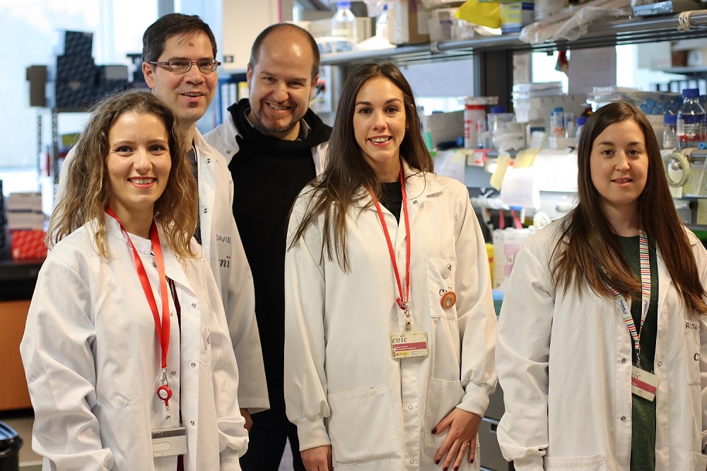 Annalaura Mastrangelo, David Sancho, Salvado Iborra, María Martínez-López y Ruth Conde Garrosa.