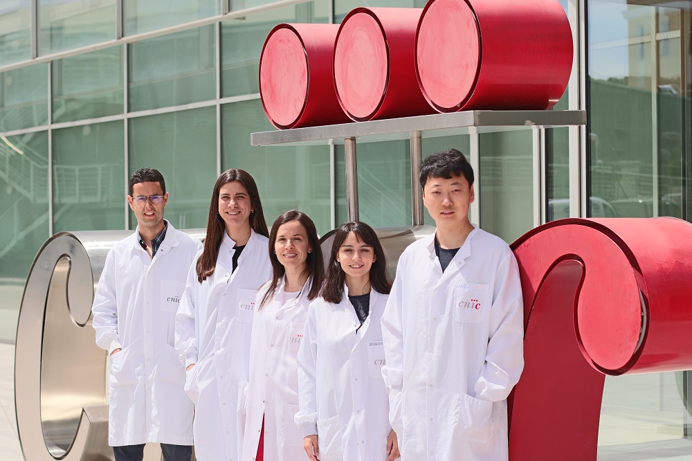 Rui Benedito, Macarena Fernández Chacón, Verónica Casquero García, Federica Lunella y Wen Luo.