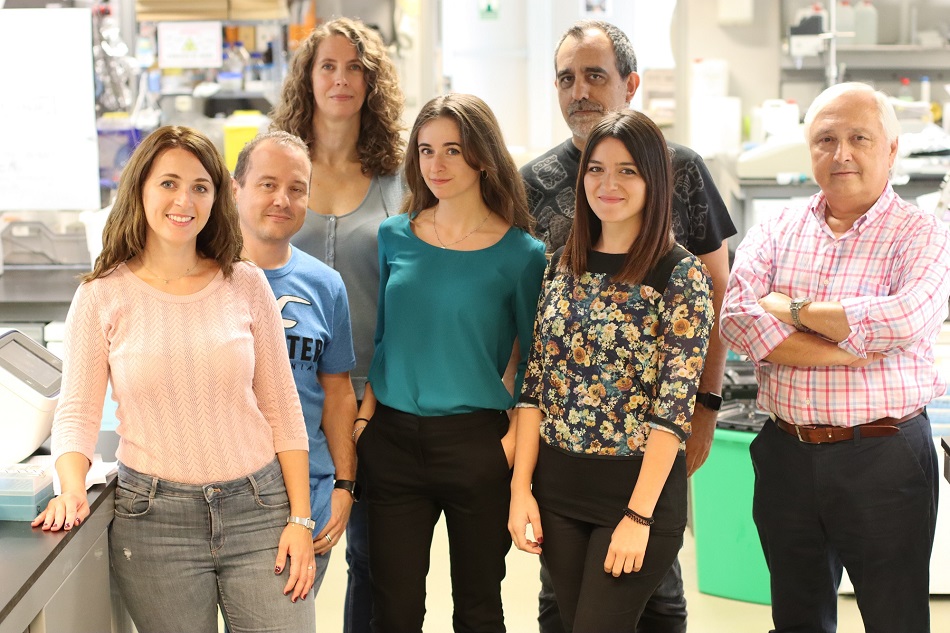 Rocío Sierra, José María Fernández-Toro, Cristina Clavería, Raquel Justo-Méndez, José Antonio Enríquez, Ana Victoria Lechuga-Vieco y Luis Miguel Criado.