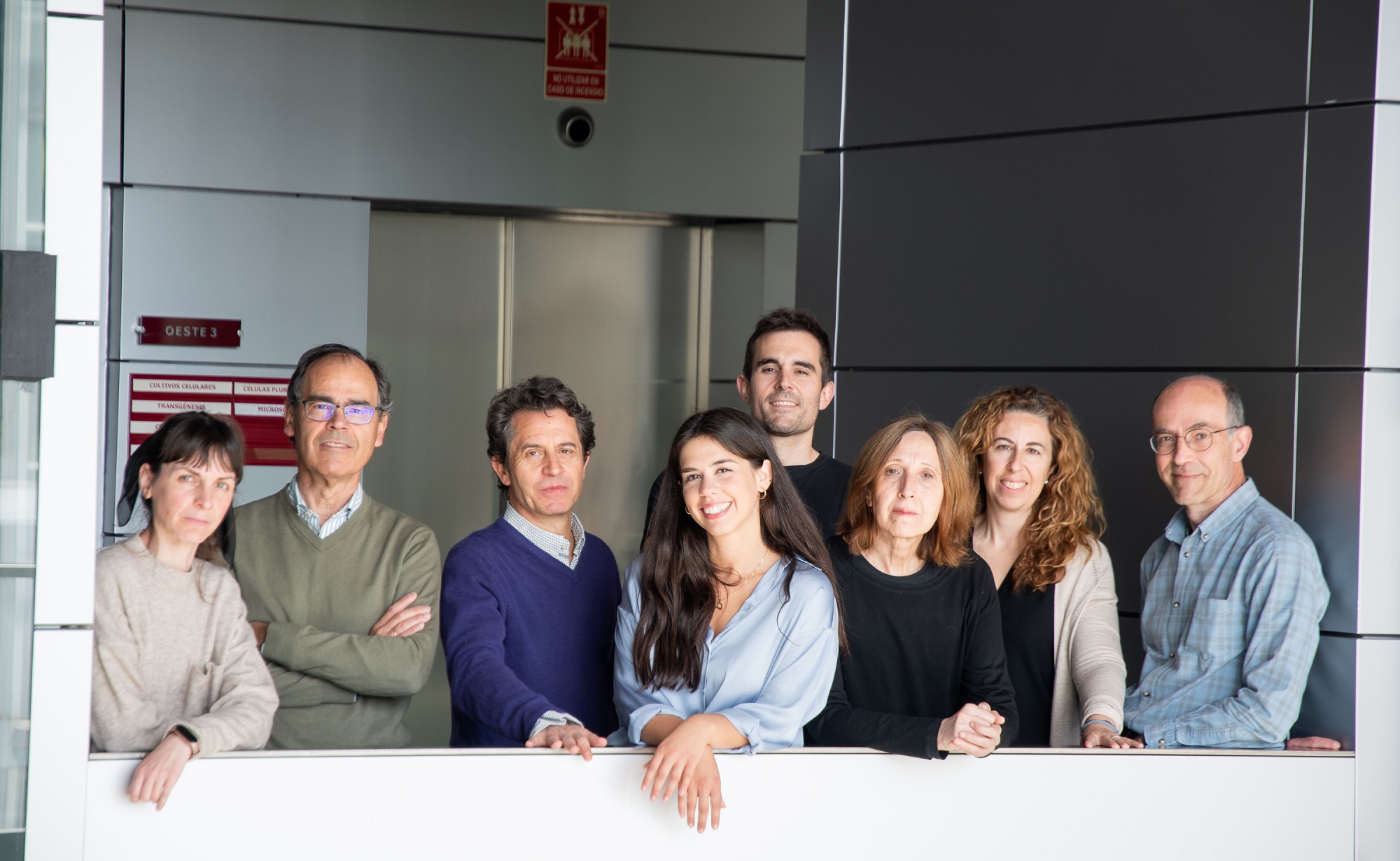 Vanessa Núñez, Jesús Vázquez, Emilio Camafeita, Ana Paredes, Pablo Hernansanz-Agustín, Mercedes Ricote, Fátima Sánchez Cabo y Fernando Martínez.