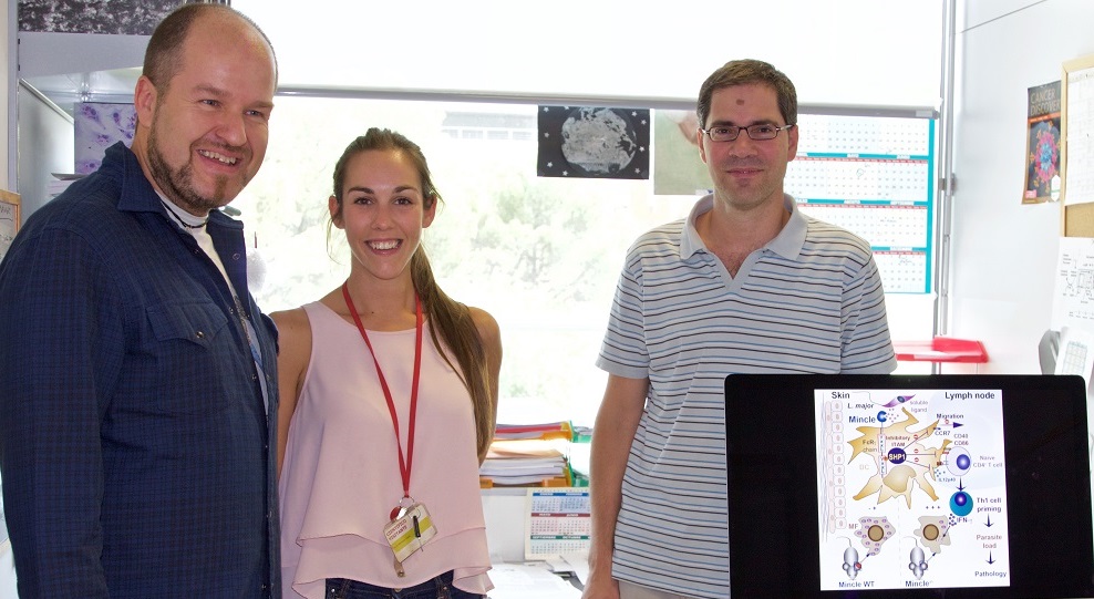 Los investigadores del CNIC Salvador Iborra, María Martínez y David Sancho.