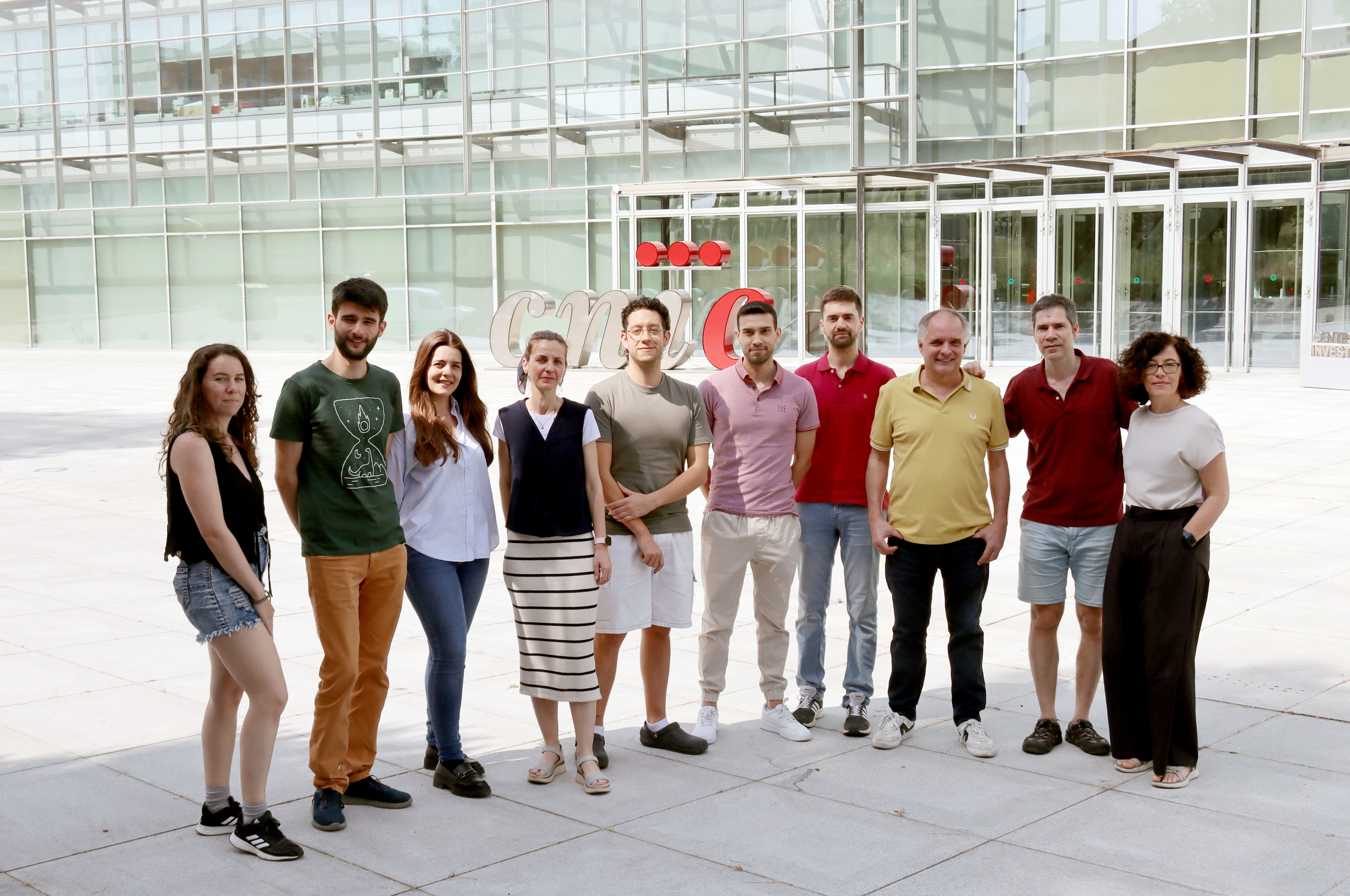 Sarai Martínez Cano, Marcos Femenía Muiña, Elena Hernández, Vanessa Núñez, Manuel Rodrigo Tapias, Miguel Galán Burgos, Iñaki Robles,  Alberto Benguria, David Sancho y Almudena Ramiro