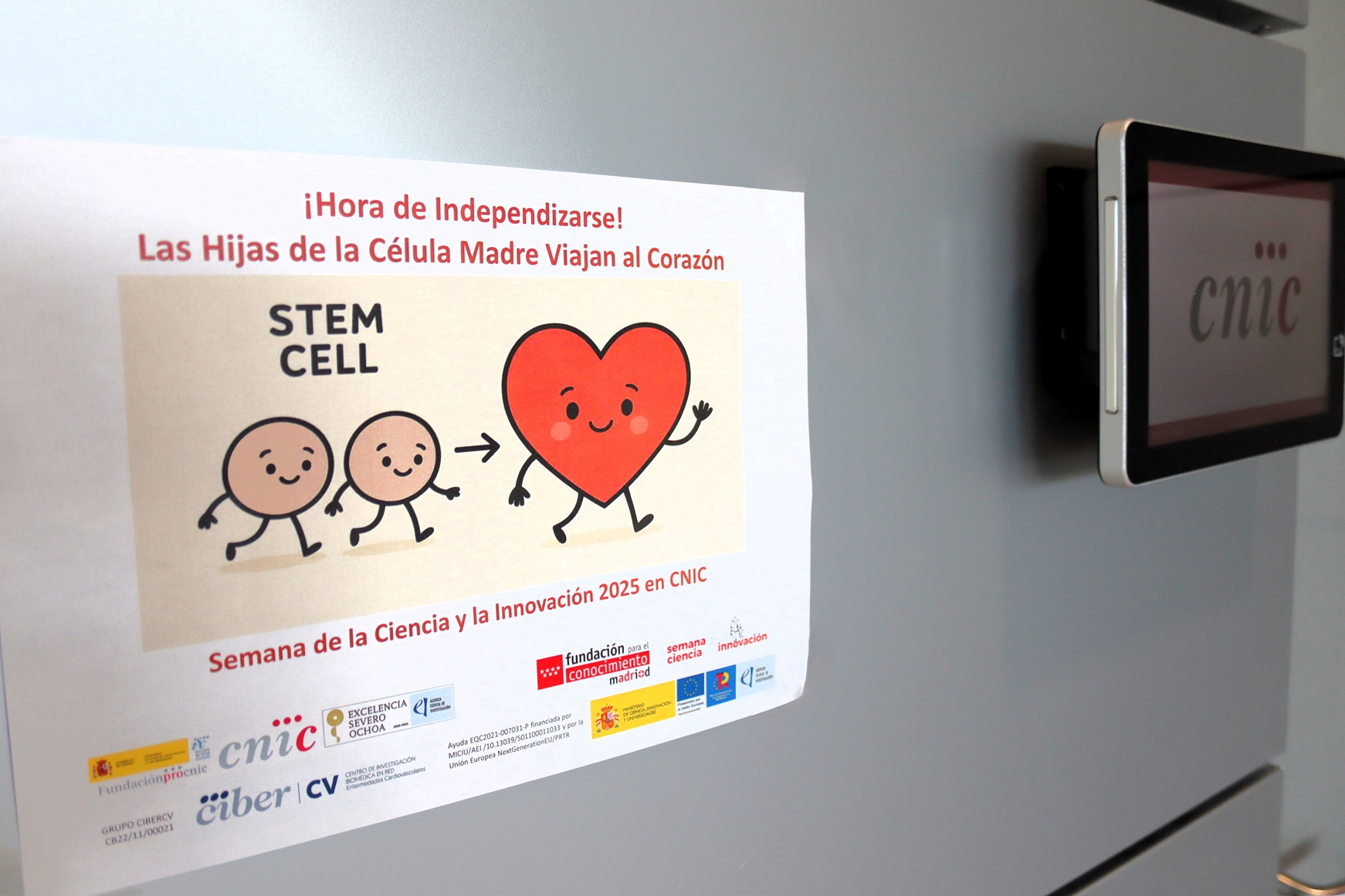 ¡Hora de Independizarse! Las Hijas de la Célula Madre Viajan al Corazón