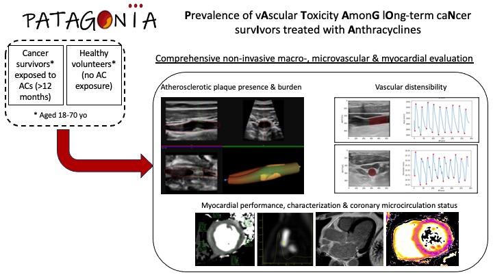 PATAGONIA: Prevalence of vAscular Toxicity AmonG lOng-term caNcer survIvors treated with Anthracyclines