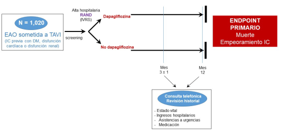 Dapagliflozin after Transcatheter Aortic Valve Implantation