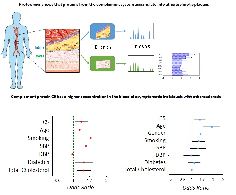 Experimental design of the study and summary of the results obtained