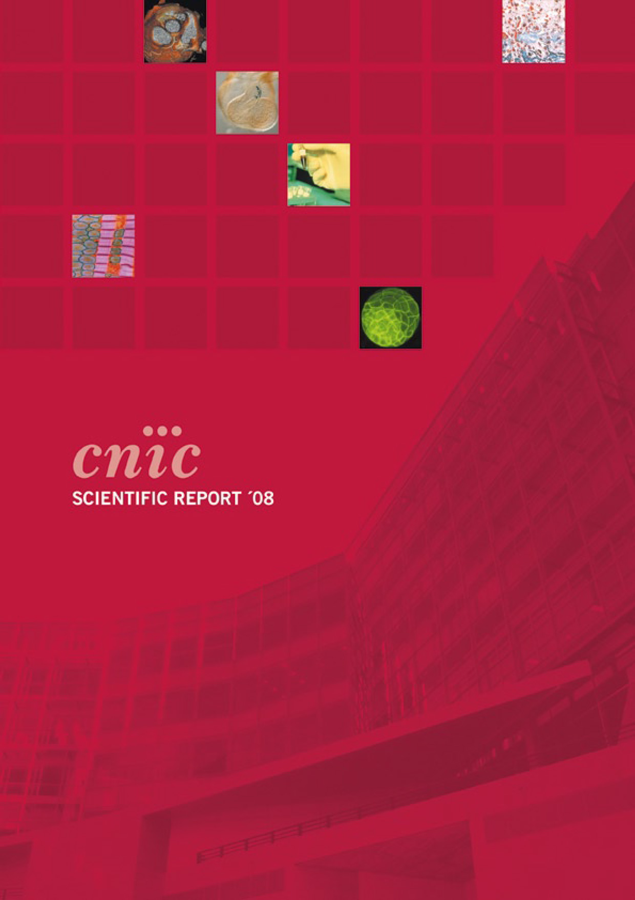Scientific Report 2008