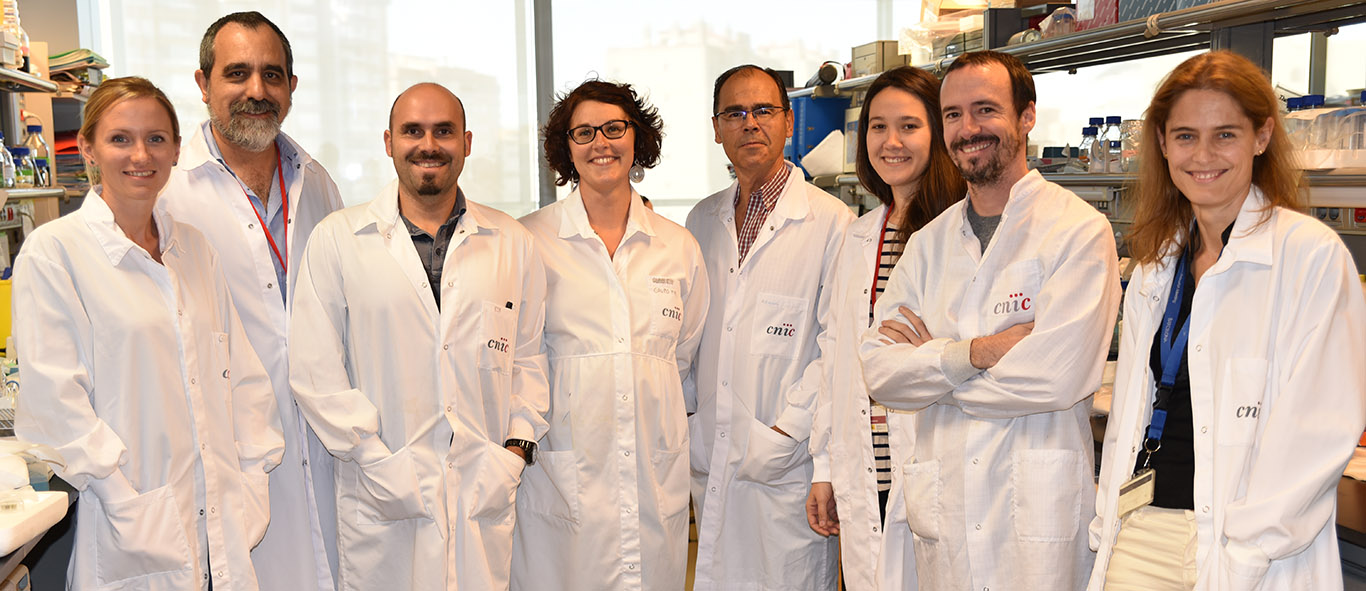 Foto: Adela M. Guaras, José Antonio Enriquez, Enrique Calvo, Sara Cogliati, Jesús Vázquez, Rocio Nieto-Arellano, Iakes Ezkurdia y Nadia Mercader. 