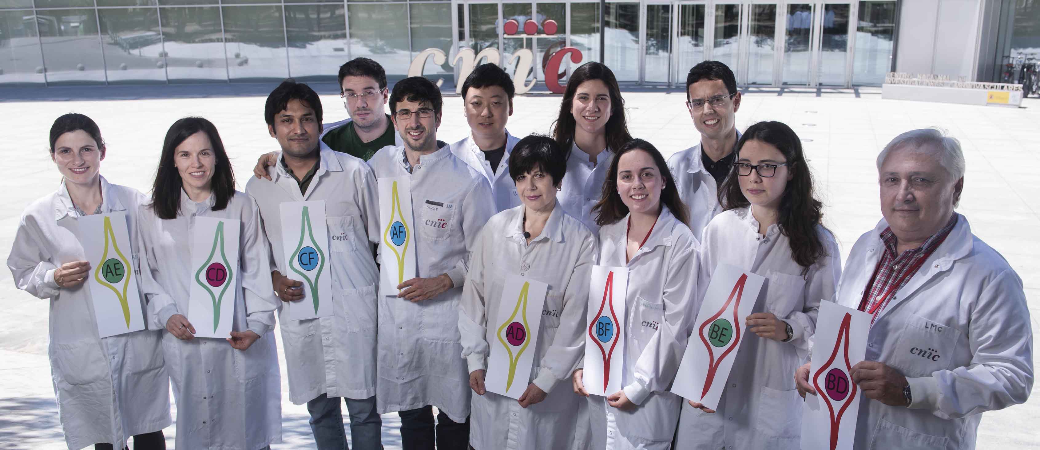 Photo 1: The authors are holding in their hands illustrations of cells expressing different combinations of membrane and nuclei fluorescent proteins. This corresponds to the method we developed (present in the article) to differentially label cells expressing different genes (with the codes A to F). Each cell expresses a different combination of 2 genes from a pool of 6 different genes (A, B, C, D, E, and F).