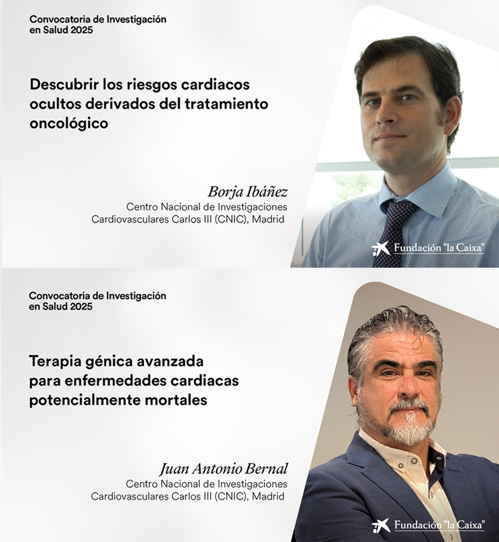 Dos proyectos del CNIC seleccionados en la convocatoria Investigación en Salud 2025 de la Fundación ”la Caixa”