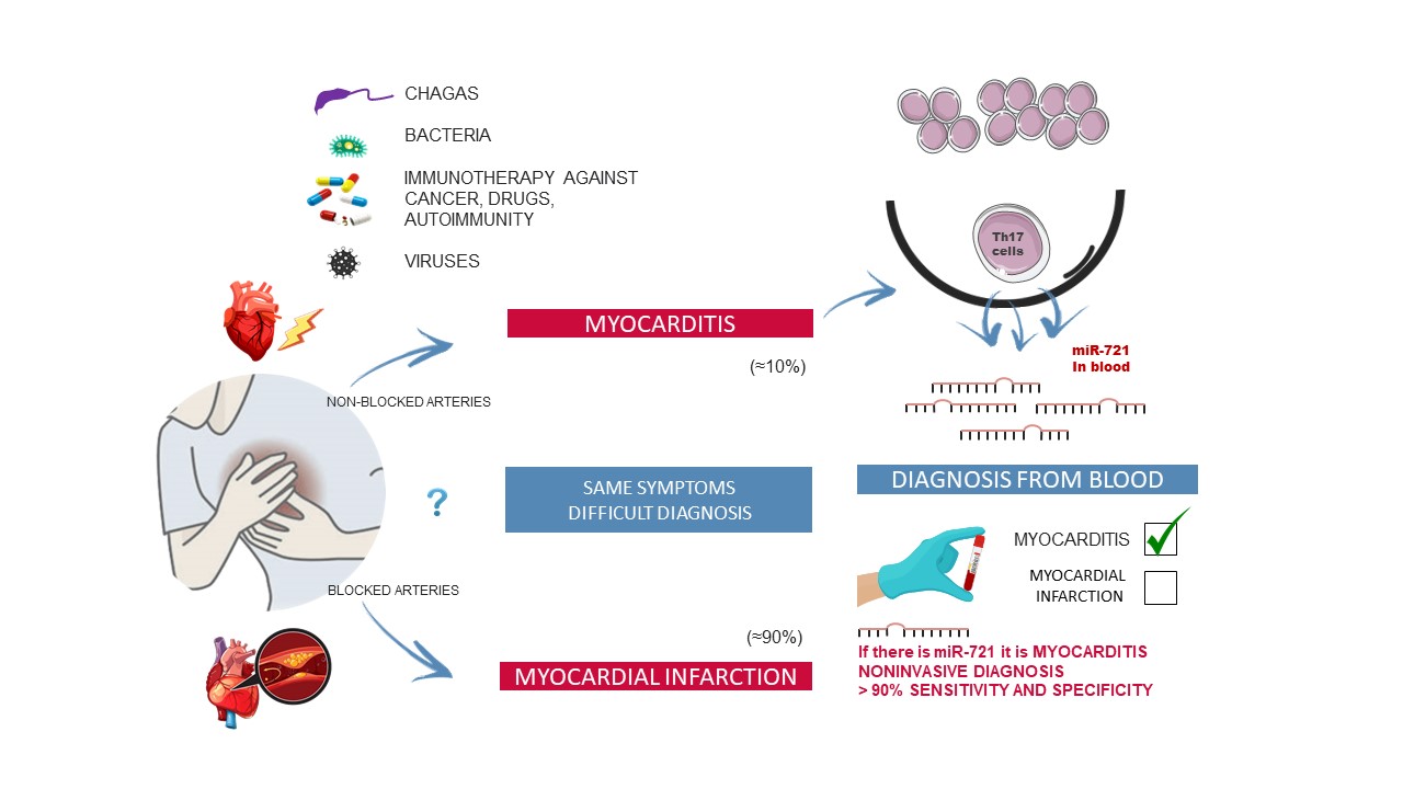 First biomarker in blood that distinguishes myocarditis from an acute myocardial infarction