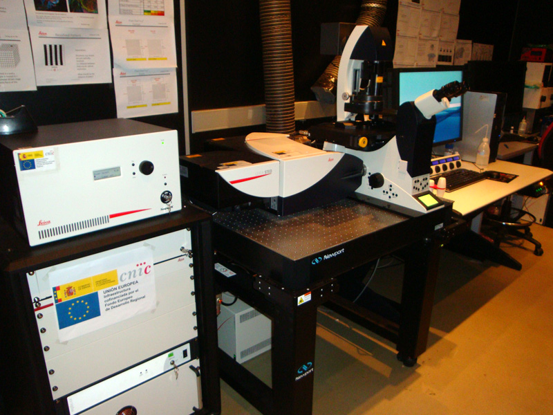 Image of the Leica SP8 stimulated emission depletion microscope, where the microscope table, screen computers and laser rack are visible